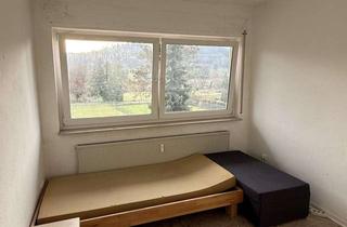 Wohnung mieten in Gießener Straße 98, 35444 Biebertal, 1 Zimmer Apartment in Biebertal