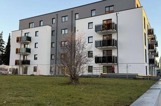 Wohnung mieten in 84524 Neuötting, Bester Energiestandard! Moderne 1-Zi-Wohnung mit Balkon und Küche - KFW 40 NH