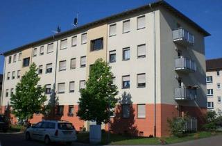 Wohnung mieten in 68809 Neulußheim, Helle und renovierte 3 Zimmer-Wohnung mit Balkon im 1. Obergeschoss in Neulußheim