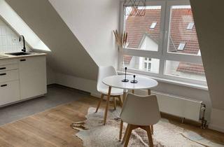 Wohnung mieten in Georg-Richard-Roeß-Straße 22, 67549 Hochheim, Attraktive möblierte 1-Zimmer-DG-Wohnung mit Einbauküche in Worms