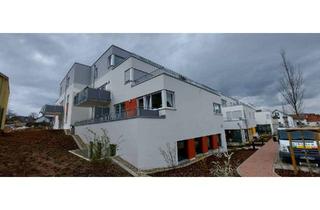 Wohnung mieten in Hauptstrasse 68, 74248 Ellhofen, Helle 2-Zimmer Wohnung mit Terrasse im 1. OG in Ellhofen