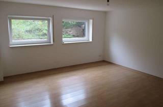 Wohnung mieten in 69231 Rauenberg, Helle 2-Zimmer-Wohnung im 1. UG in Rauenberg / Malschenberg