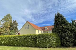 Wohnung mieten in Dresdener Straße 43, 02681 Wilthen, Frisch sanierte 3 Raum Wohnung sucht neue Mieter