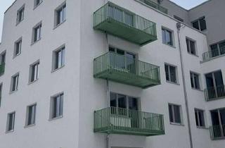 Wohnung mieten in Pasewalker Straße 96, 13127 Französisch Buchholz, Erstbezug! 2-Zimmerwohnung mit Sonnenbalkon, Küche für Paare oder Singles