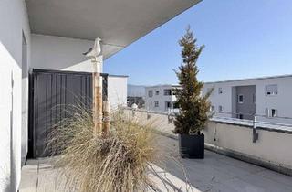 Penthouse mieten in 79189 Bad Krozingen, Sehr hochwertige Penthouse-Wohnung mit Einbauküche