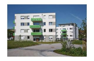 Wohnung mieten in Carl-Joseph-Will-Straße, 63743 Aschaffenburg, ***Wohnung im Erdgeschoss sucht Nachmieter***