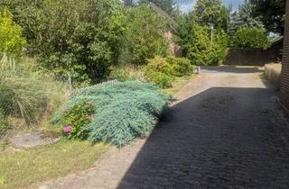 Einfamilienhaus kaufen in 29367 Steinhorst, Einfamilienhaus mit Garage und Garten in Steinhorst