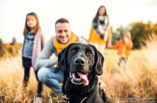 Grundstück zu kaufen in Kaltenbergstrasse 29, 75031 Eppingen, RESERVIERT _Frei planen, entspannt bauen - Ihr Familienplatz ohne Bauverpflichtung!