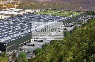 Gewerbeimmobilie mieten in 92263 Ebermannsdorf, Neubauprojektierung - Nähe Amberg