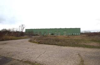 Büro zu mieten in 04435 Schkeuditz, ++Gewerbehof mit Lagerhalle und Bürohaus an der B186++