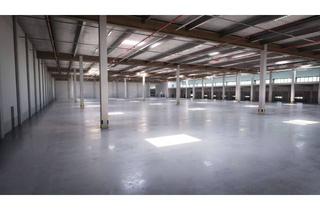 Gewerbeimmobilie mieten in 65582 Diez, Lagerflächen in Diez