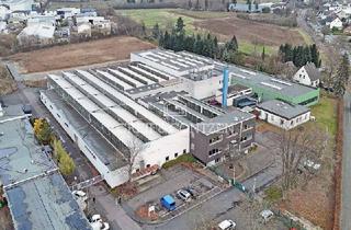 Gewerbeimmobilie mieten in 53859 Niederkassel, Lager- / Produktionsflächen in Niederkassel Mondorf | kurzfristig verfügbar