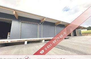 Gewerbeimmobilie mieten in 54411 Hermeskeil, Großzügige Lagerhalle mit flexiblen Nutzungsmöglichkeiten in Hermeskeil!