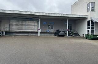 Gewerbeimmobilie mieten in 71364 Winnenden, Sofort verfügbare Produktions- und Lagerflächen