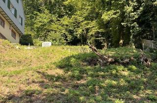 Grundstück zu kaufen in 75378 Bad Liebenzell, Exponierte Lage mit traumhaftem Ausblick - genehmigte Bauvoranfrage für Einfamilienhaus