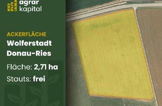Grundstück zu kaufen in 86709 Wolferstadt, AgrarKapital: Landwirtschaftliche Fläche in Wolferstadt (DON) - Acker mit 2,71 ha