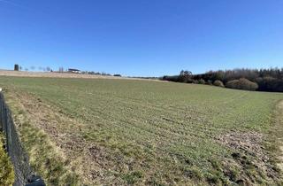 Grundstück zu kaufen in 84091 Attenhofen, Großzügiges Baugrundstück in Walkertshofen bei Mainburg