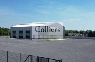 Gewerbeimmobilie mieten in 31655 Stadthagen, Moderne Hallen- / Werkstattflächen