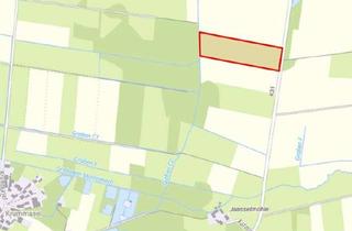 Gewerbeimmobilie kaufen in 29482 Küsten, 3,8 ha Wiese Grünland gegen Gebot zu verkaufen