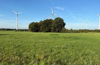 Gewerbeimmobilie kaufen in 27628 Bramstedt, Landwirtschaftliche Fläche im Bramstedermoor