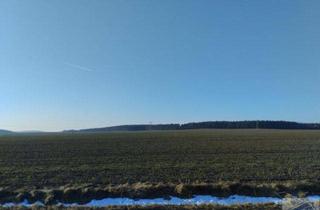 Grundstück zu kaufen in 02788 Hirschfelde, Bauen am Ortsrand
