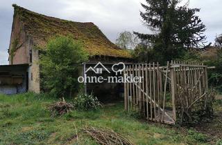 Grundstück zu kaufen in 66440 Blieskastel, Großes, ebenes, voll erschlossenes Grundstück in Vorzugslage mit werthaltigem Altbestand