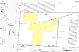 Grundstück zu kaufen in 59269 Beckum, Grundstück mit großem Potential
