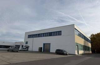 Büro zu mieten in Paul-Ehrlich-Straße 3-5, 63322 Rödermark, Büroetage ab sofort provisionsfrei zu vermieten