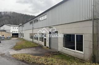 Gewerbeimmobilie kaufen in 09518 Großrückerswalde, Lagerhalle / Produktion 3200qm mit Büro, Dusche, WC zu verkaufen