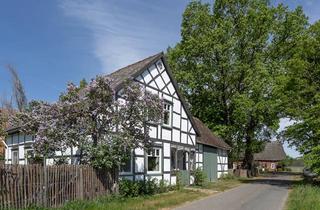 Bauernhaus kaufen in 29494 Trebel, Fachwerkhaus im Wendland, liebevoll saniert u. Dach erneuert - idyllisch an einem Rundling gelegen -