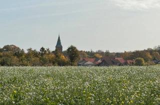 Haus kaufen in 29439 Lüchow, Lüchow (Wendland) - Liebevoll saniertes Häuschen im Wendland ohne Makler