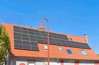 Einfamilienhaus kaufen in 69242 Mühlhausen, Mühlhausen - Charmantes Einfamilienhaus mit Einliegerwohnung