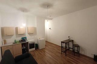 Wohnung mieten in 01809 Heidenau, Nachmieter für 1-Zimmer-Appartment mit EBK gesucht - sofort verfügbar