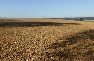 Grundstück zu kaufen in 85414 Kirchdorf, Landwirtschftliches Grundstück bei Schidlambach