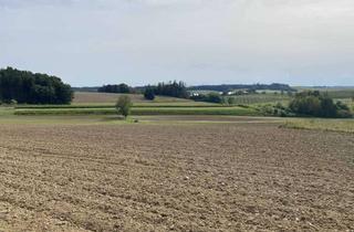 Grundstück zu kaufen in 85414 Kirchdorf, Landwirtschftliches Grundstück bei Schidlambach