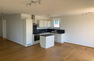 Penthouse mieten in Felsenstraße 45, 65199 Dotzheim, Tolles lichtdurchflutetes 4-Zimmer-Panorama-Penthouse in ruhiger Lage von Wiesbaden