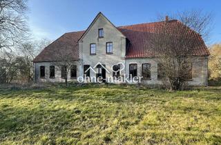 Haus kaufen in 23948 Rolofshagen, Gutshaus in Ostseenähe im Klützer Winkel