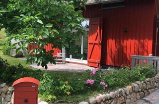 Haus kaufen in 25724 Neufeld, Charmantes Ferienhaus mit Reetdach, möbliert, energetisch top, 3,5 Zimmern und Außenstellplätzen