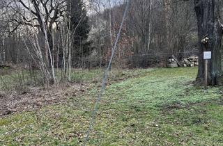 Grundstück zu kaufen in Ohne Angabe / Auf Anfrage, 01744 Dippoldiswalde, Grundstück zu verkaufen – Obercarsdorf bei Dippoldiswalde (Sachsen)