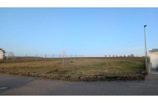 Grundstück zu kaufen in 74388 Talheim, Großes Baugrundstück in ruhiger Feldrandlage in Talheim - provisionsfrei