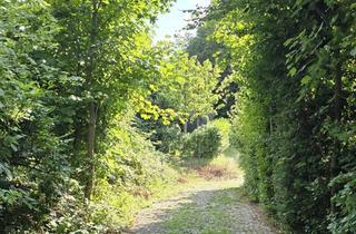 Grundstück zu kaufen in Rautenbergstr. 34, 44797 Stiepel, Naturnahes Wohnen in Stiepel – 1.150 m² erschlossenes Bauland