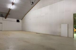 Gewerbeimmobilie mieten in 84069 Schierling, VH3934 Zwei freitragende Kaltlagerhallen mit Freifläche / leer