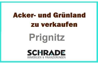 Immobilie kaufen in 19322 Wittenberge, 40 ha Grünland und Acker in der Prignitz