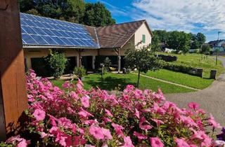 Bauernhaus kaufen in 78315 Radolfzell, Radolfzell am Bodensee - Pferdehof Bauernhof mit Reitplatz in 55765 Birkenfeld