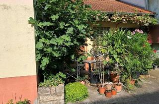 Einfamilienhaus kaufen in 55234 Bechtolsheim, Bechtolsheim - Ab auf's Land