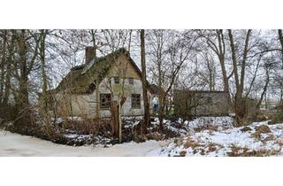 Haus kaufen in 21775 Ihlienworth, Ihlienworth - Sanierungsbedürftige Reetdachkate in fast Alleinlage
