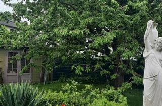 Einfamilienhaus kaufen in 34414 Warburg, Warburg - Einfamilienhaus