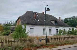 Wohnung kaufen in 16269 Wriezen, Wriezen - Altes Gutshaus in Altgaul