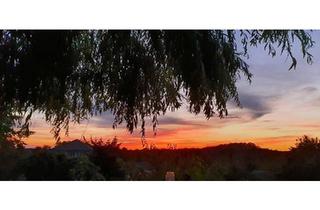 Mehrfamilienhaus kaufen in 15377 Oberbarnim, Oberbarnim - Mehrgenerationen-Haus in Buckow