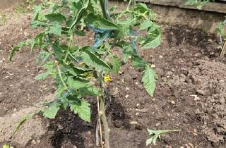 Haus kaufen in 91795 Dollnstein, Dollnstein - Zweifamilienhaus in Dollnstein